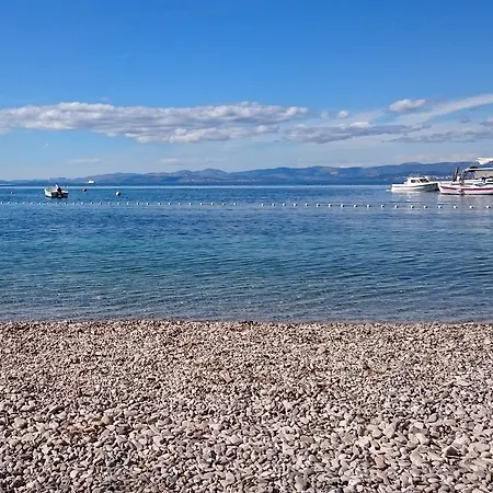 فيلة Maruka سوبيتار